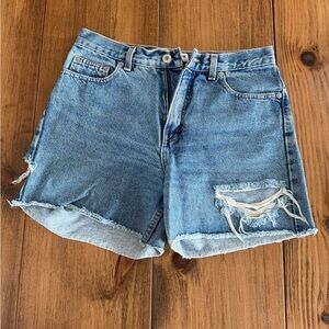 Vintage Denim Cutoff Shorts